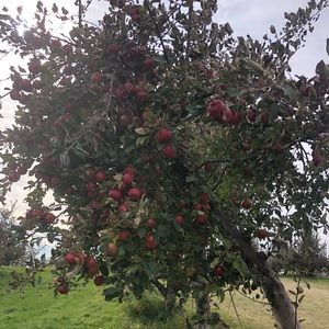 Meet your Posher, Gemma